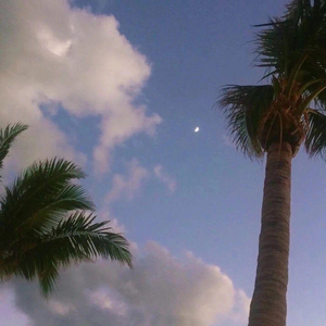 百庋度搜索欧洲老太婆与孙子乱伦视频
