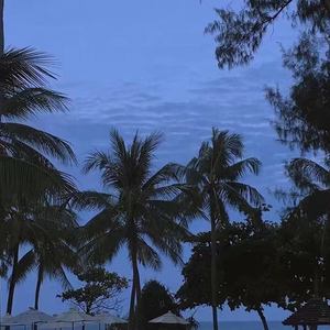 百庋度搜索欧洲老太婆与孙子乱伦视频
